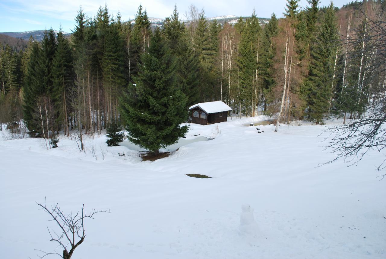 Ferienhaus Lisa´s Häusl Neuschönau Exterior foto