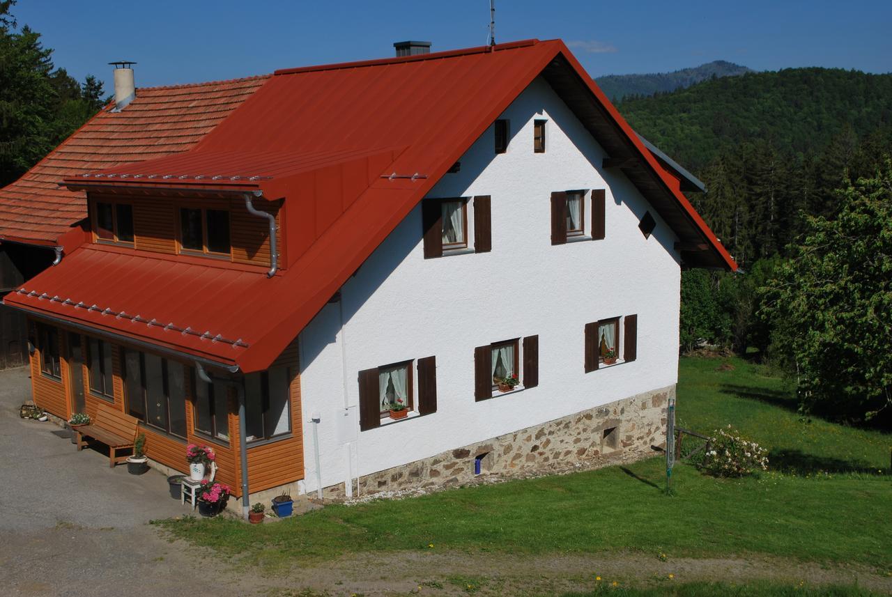 Ferienhaus Lisa´s Häusl Neuschönau Exterior foto