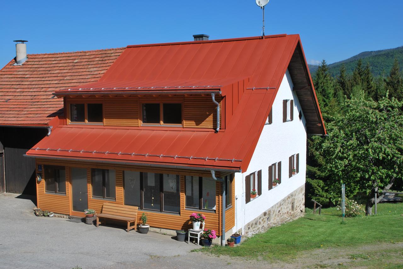 Ferienhaus Lisa´s Häusl Neuschönau Exterior foto